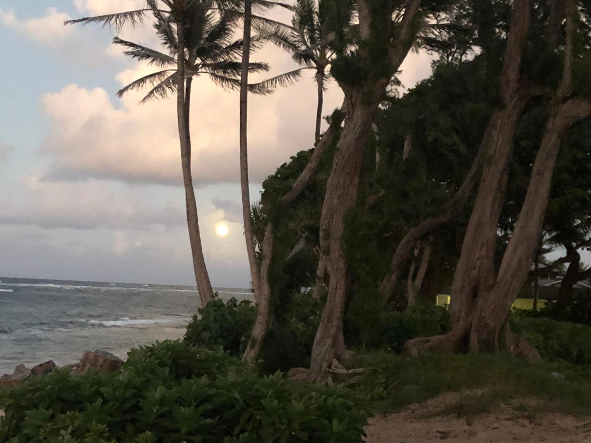 拉耶Tropical Treasure On A White Sandy Beach别墅 外观 照片